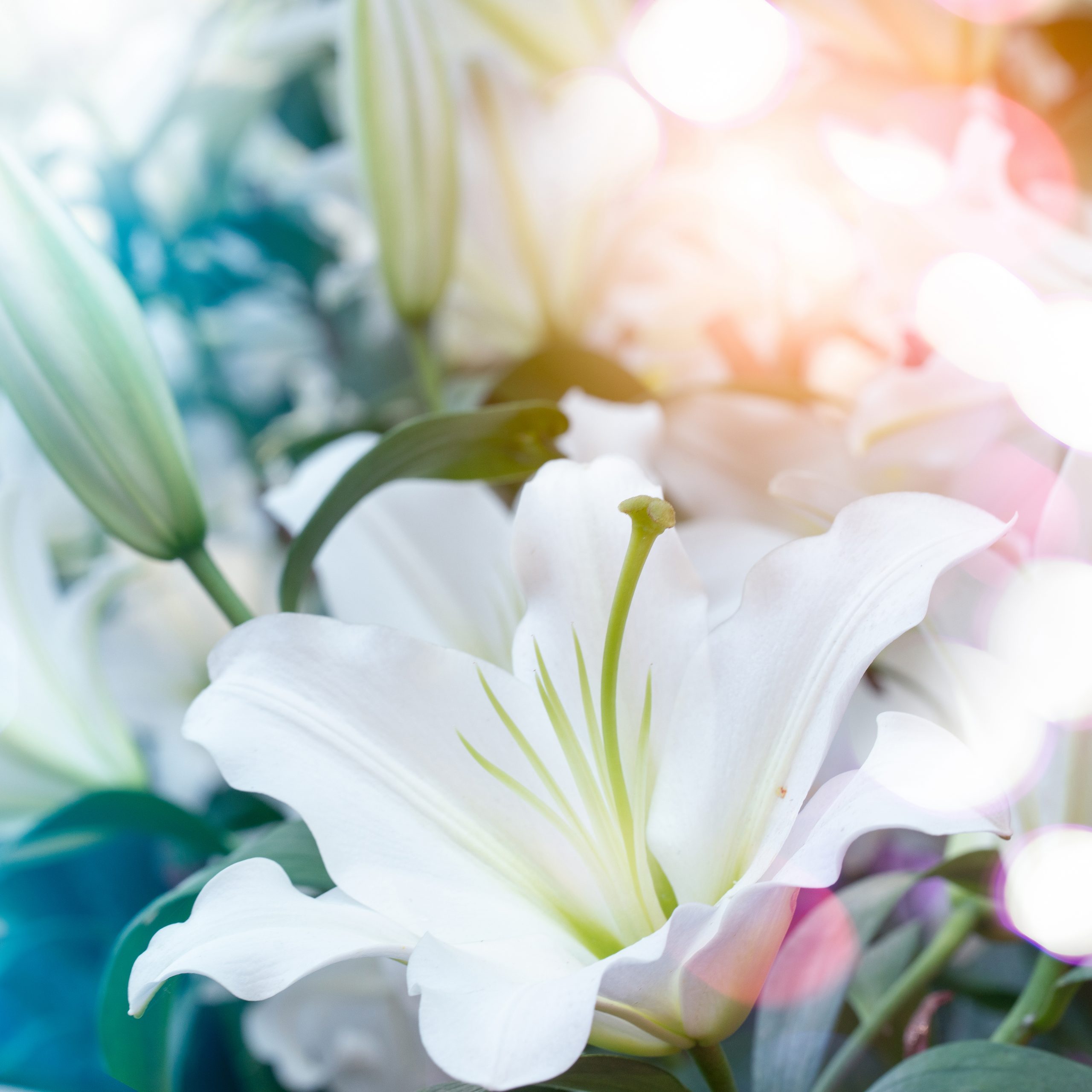 Casablanca Cloud System